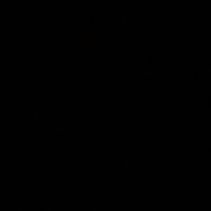 Meet your Posher, Rose